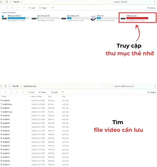 Tìm kiếm tệp tin video